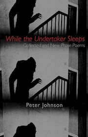 Cover of While the Undertaker Sleeps, by Peter Johnson