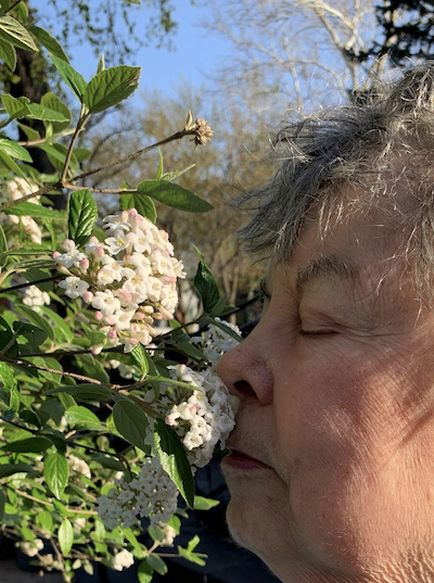 <em>The Gardener Pauses</em> (4 April 2021): iPhone photograph by Roy J. Beckemeyer