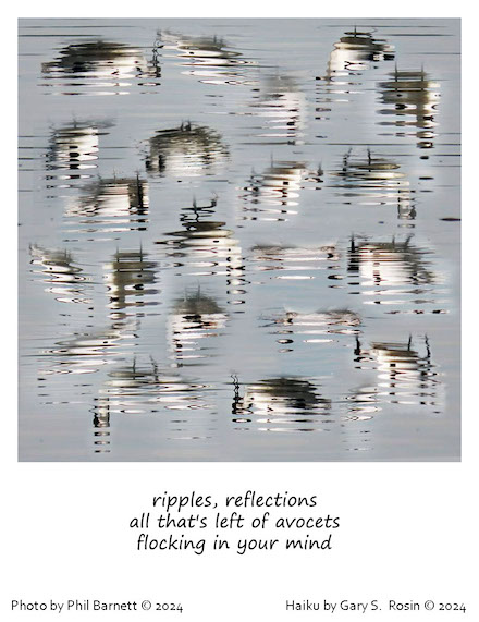 (ripples, reflections): Poem by Gary S. Rosin and Photo by Phil Barnett