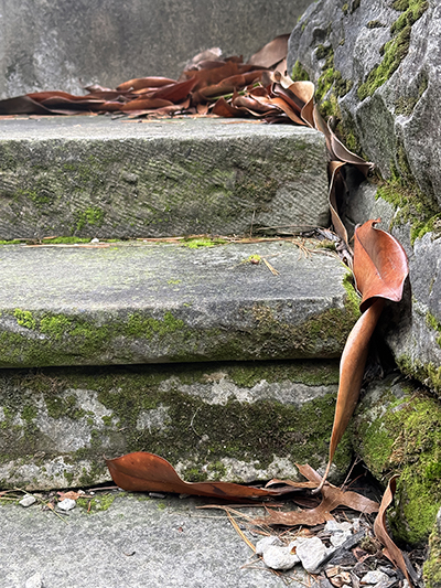 Stairs, Grand Pacific Wedding Gardens: Photograph © by Gerrie Paino