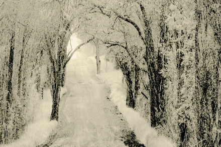 Winter Road: Photograph © by Christopher Woods