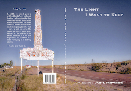 Full cover of The Light I Want to Keep by Daryl Scroggins