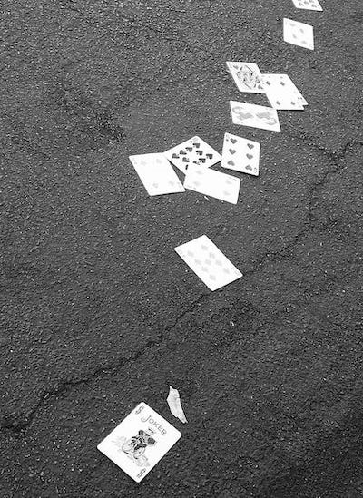 Playing Cards, Grocery Outlet, 2024: Photograph © by Jonathan Yungkans